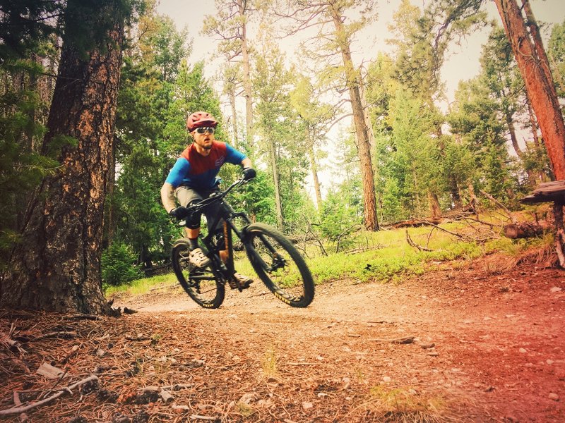 Some great sweeping corners through the tress on the decent down from the top of Evergreen Mtn