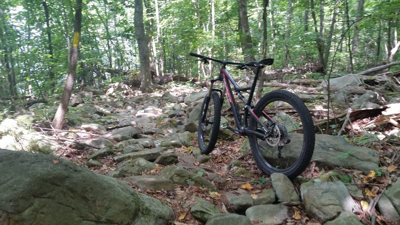 Yes, it is rocky on the Lakeside Trail.