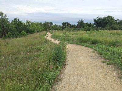 Part of the main trail through Indian Rock park