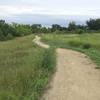 Part of the main trail through Indian Rock park