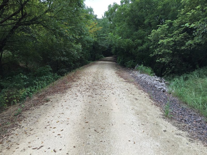 The tree canopy along the trail is impressive for most rail to trails in KS.  Most trails are very exposed.