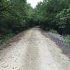 The tree canopy along the trail is impressive for most rail to trails in KS.  Most trails are very exposed.