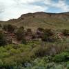 The view from the trail intersection with 1735, 1736, and 1737.