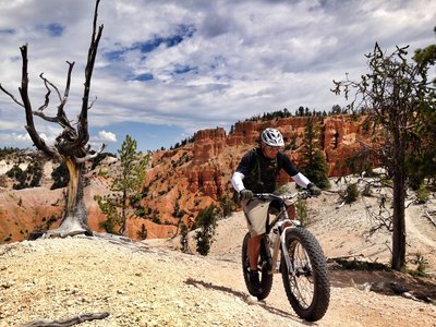 Hoodoos at Thunder Mountain UT