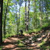 The big berm on Yellow Trail