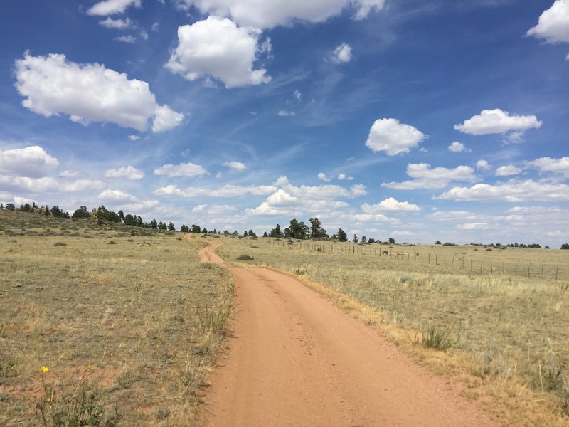 Some fast and fun dirt roads.  I rode on a Sunday in August and only ran into a handful of campers/dirt bikers/ 4 wheelers.