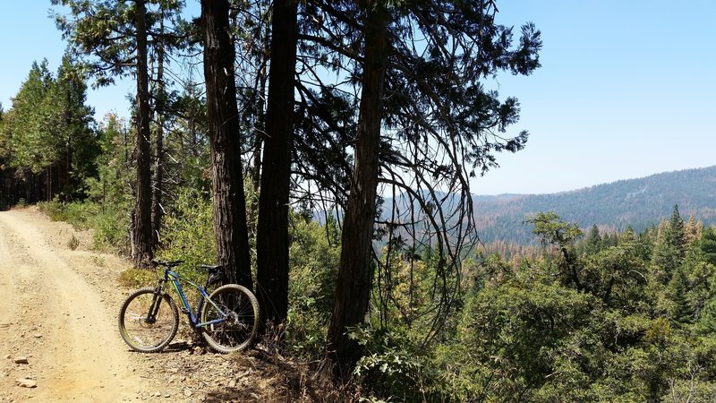 Nice view of Sugar Pine Hills, you can speed up in this down hill, be careful don't miss the single trail to Nelder Grovee.