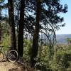 Nice view of Sugar Pine Hills, you can speed up in this down hill, be careful don't miss the single trail to Nelder Grovee.