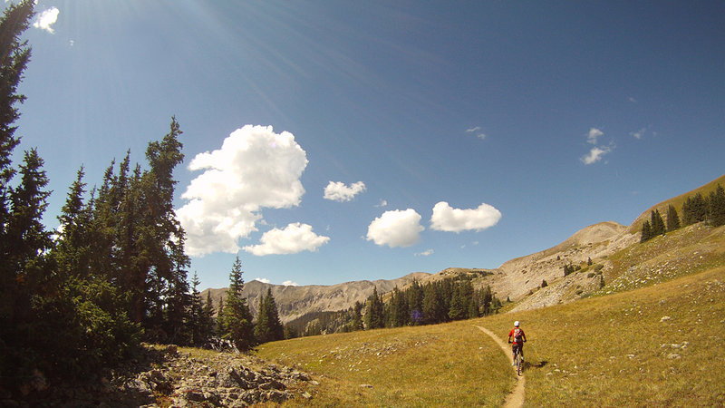 Start of the Canyon Creek singletrack, going to the top