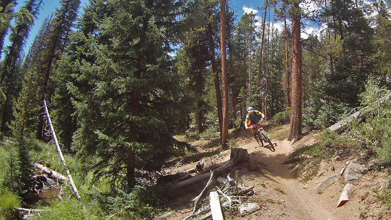 Moto whoops on lower Canyon Creek trail