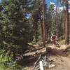 Moto whoops on lower Canyon Creek trail