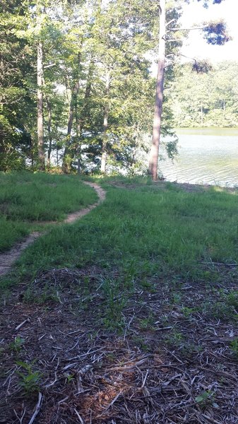 One of a couple transitions under the powerlines with a great view of the water.