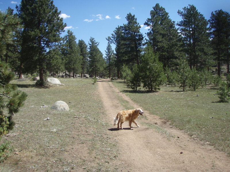 Heading outward on the trail with my dog, Ranger.