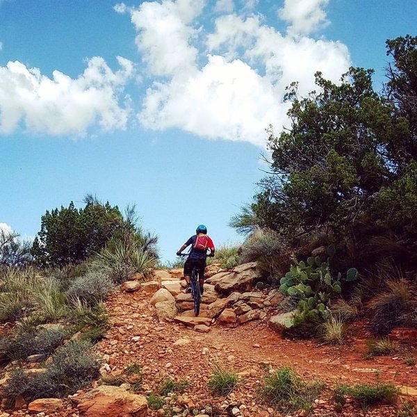 Climbing rock ladder - lots of these on Llama Trail.