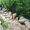 Navigating a chundery section of Rock Creek.