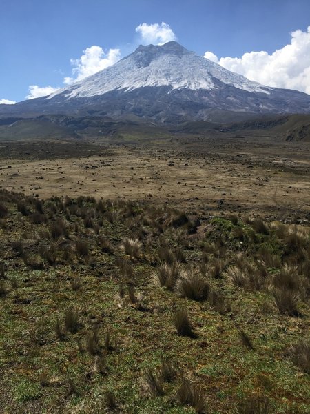 View of Cotopaxi from the gate to the reserves east of the park.