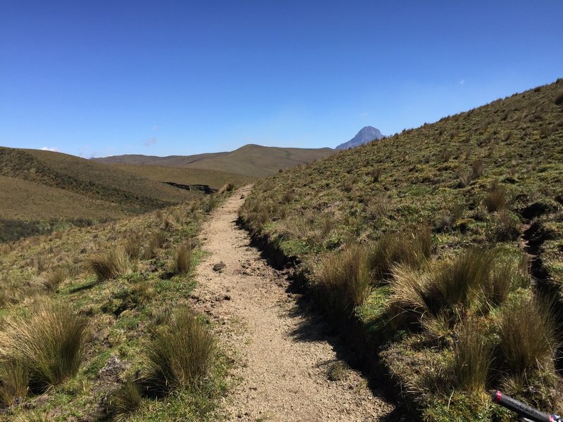 El Tambo Singletrack near the beginning. Bench cut, probably by Chagras! Facing east towards Cerro Quilindana.