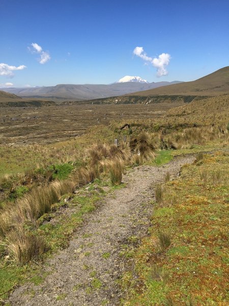 Gate to preserves with Lahar in background. Facing north(ish). Antisana volcano on horizon.