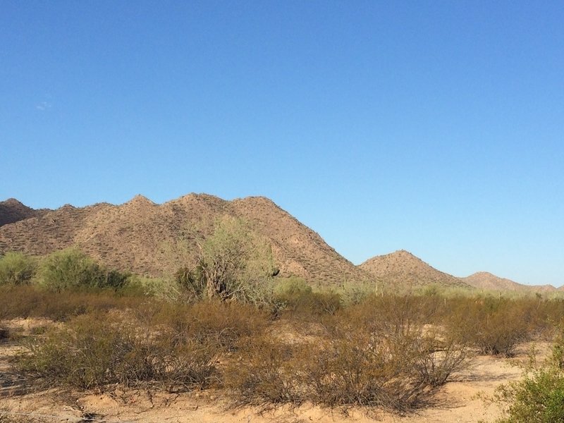 Just outside the main parking area at San Tan Trailhead looking west.