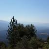 View from the top from the lookout tower.