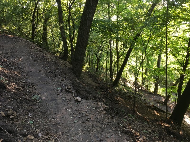 Some of the switchbacks on the climb back up the hill.