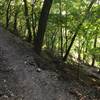 Some of the switchbacks on the climb back up the hill.