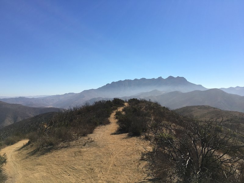 Summit at Sin Nombre Trail (aka Backbone).