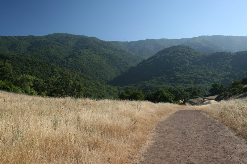 Views from the Randol Trail.