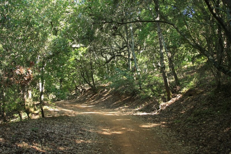 Almaden Quicksilver Park - Mine Hill Trail. with permission from Alexander Avtanski