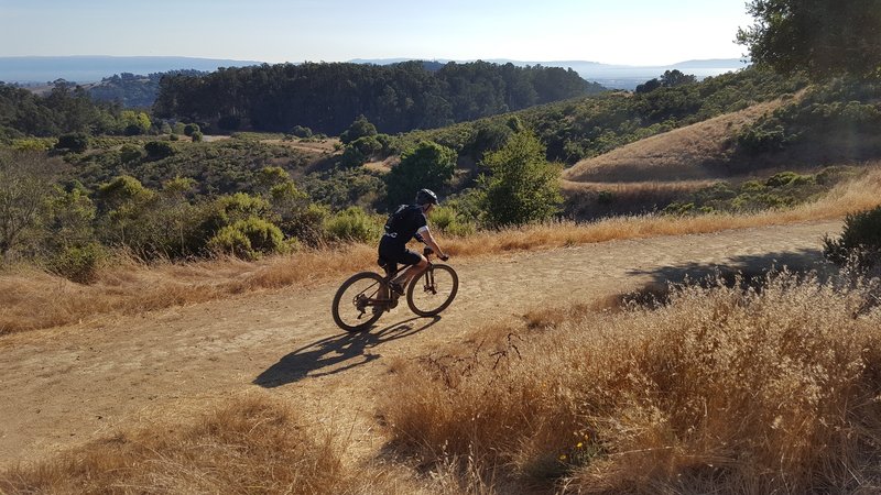 Upper Towhee Trail.