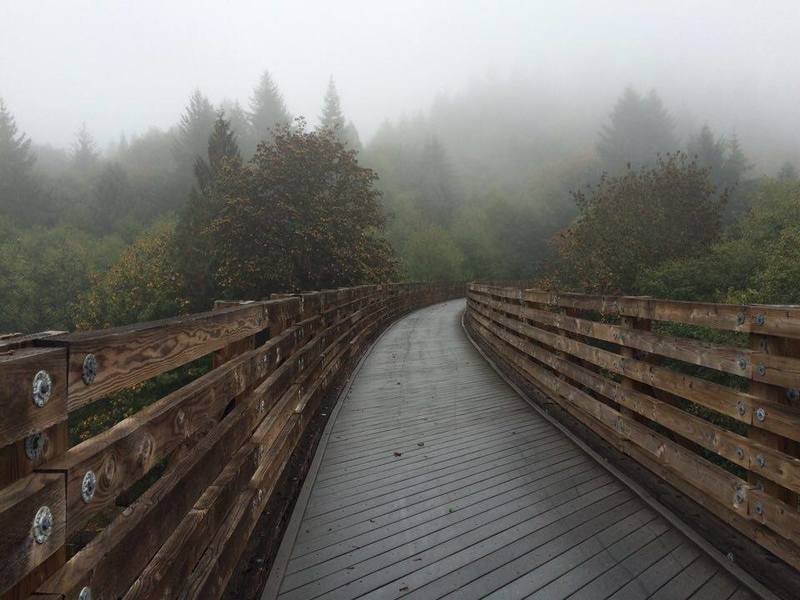 Foggy morning on the Buxton Trestle.