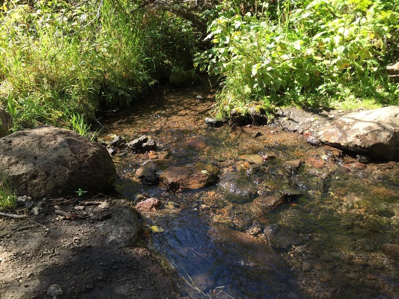 Fox Creek. Good to cool off on a hot day!