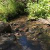 Fox Creek. Good to cool off on a hot day!