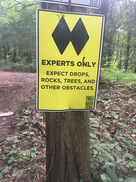 Definitely not an intermediate trail.