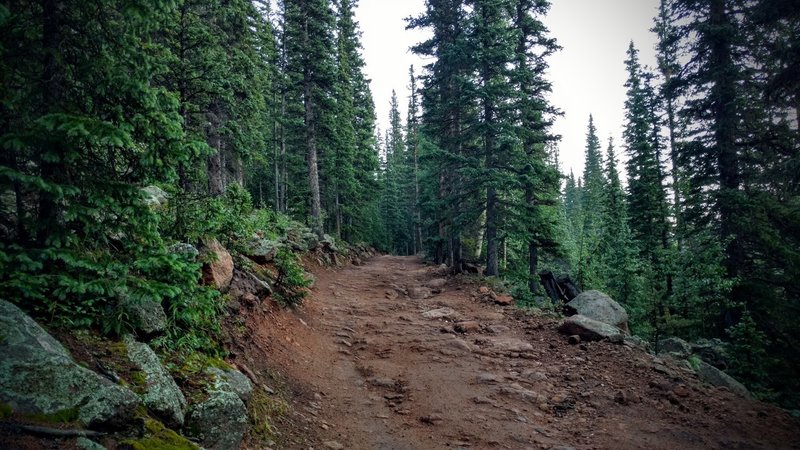 More trail than road on this 'dirt-road' climb.