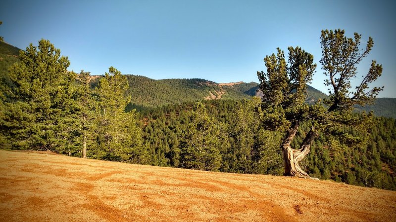 View towards North Cheyenne Canyon, overlooking Foresters/701.