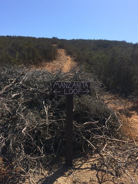 Sign showing the new Manzanita Trail.