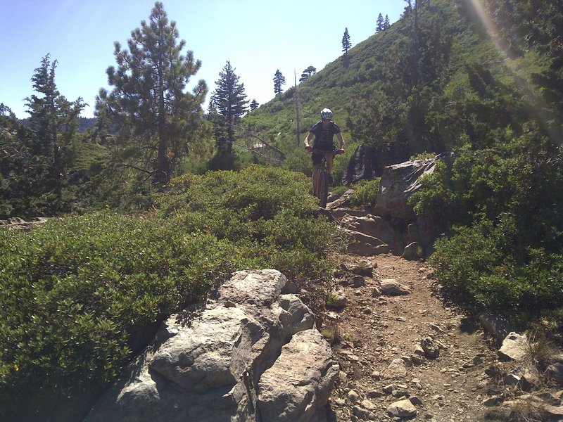 Heading down the Long Lake Trail.