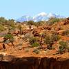 Getting into it on our first day on the White Rim with the snowy La Sals in the distance.