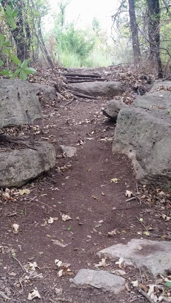 Exit of the boulder portion of the Roadrunner section of the system