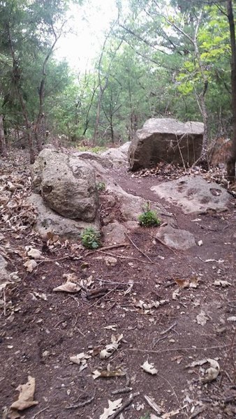 In the boulder portion of the Roadrunner section of the system