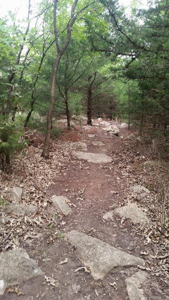 In the boulder portion of the Roadrunner section of the system.