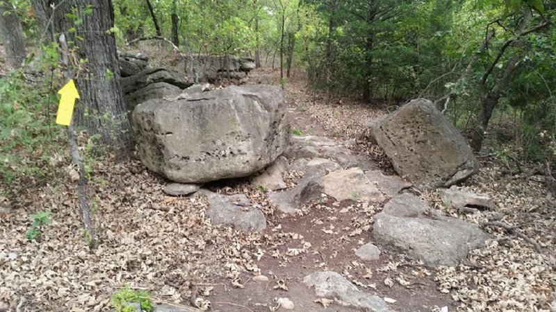 In the boulder portion of the Roadrunner section of the system