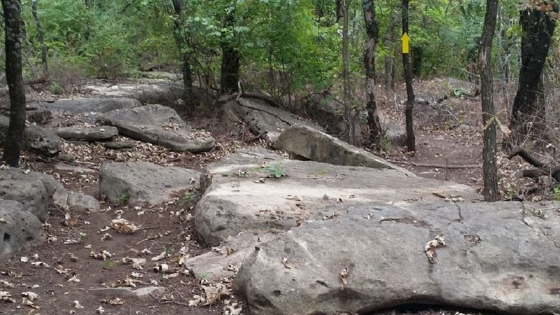 In the boulder portion of the Roadrunner section of the system