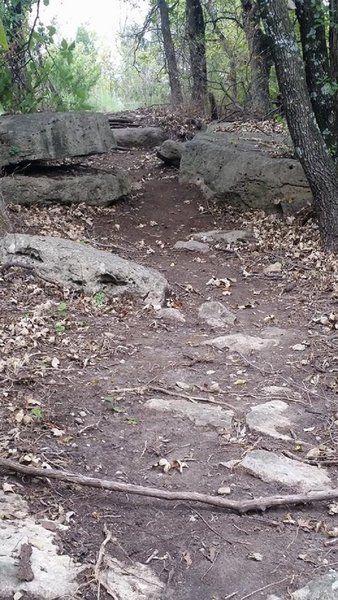 In the boulder portion of the Roadrunner section of the system