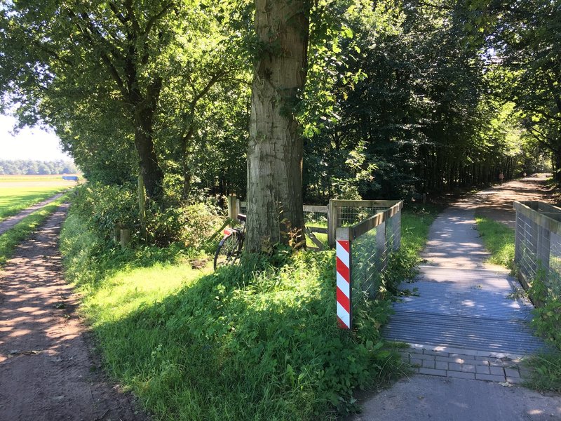 Bike path to the right... cross the wildlife grid.