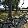 Parson Gray Cemetery