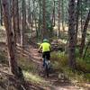 I love the forest canopy of Heil Ranch.