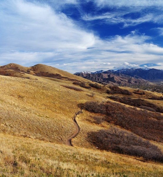 The Shoreline Trail below the Avenue Twins. with permission from HighDesertView