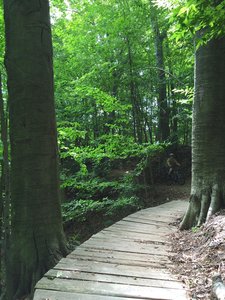 Wahlfield park discount mountain bike trail